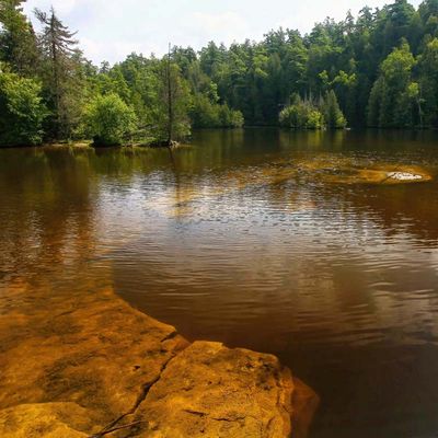 Sink Hole