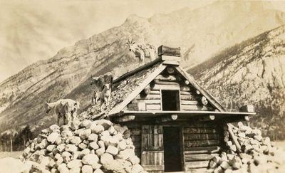 Goats on the Roof