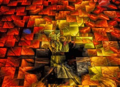 Fragmented Tulip