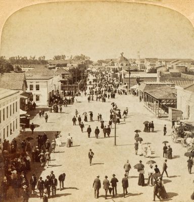 The Midway  