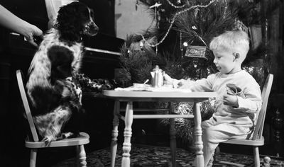 Dog at the Table  