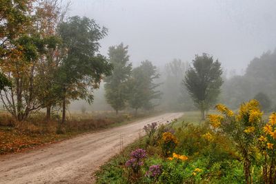 Road to the Nature Centre