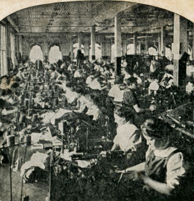 The Taylor Shop 