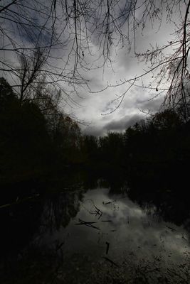 Pond in Victoria Woods 
