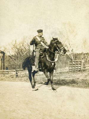 Mounted Infantry