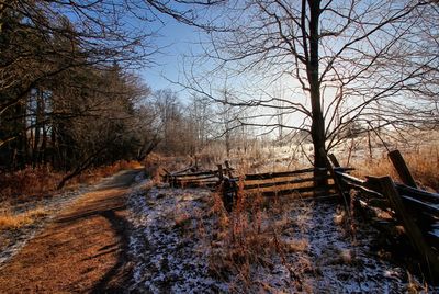 Split-rail Fence