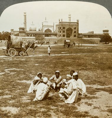 Camel Wagons 