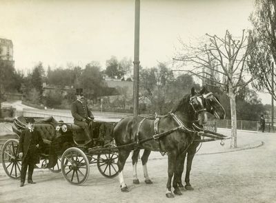 Posing by the Carriage