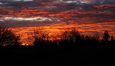 Sunrise Sunset & Mist