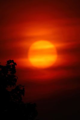 Sunrise Sunset & Mist