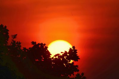 Sunrise Sunset & Mist