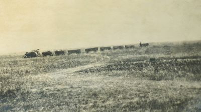 Down on the Farm