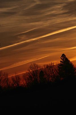 Sunrise Sunset & Mist