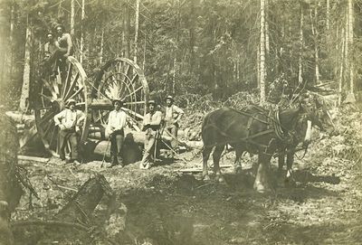 Logging