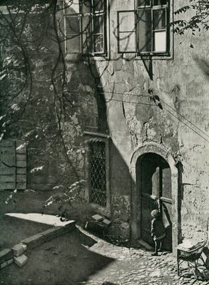 Vintage Photo Scans