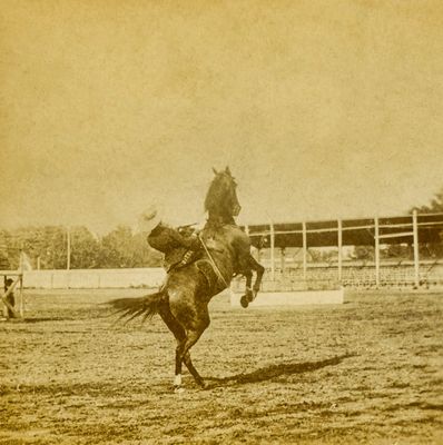 Photo and Stereo Scans