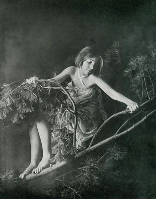 Dryad of the Pines