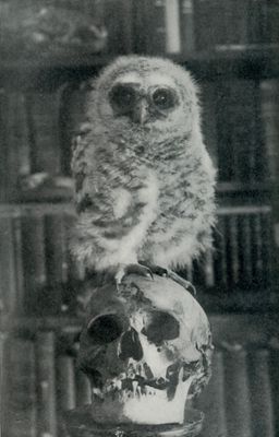 Vintage Photo Scans