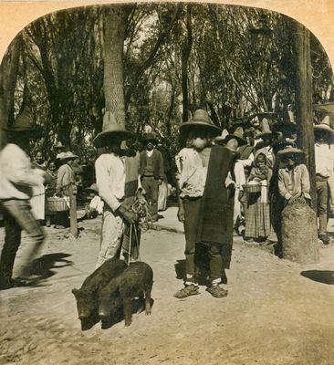 Photo and Stereo Scans