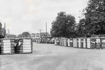 The Large Collection