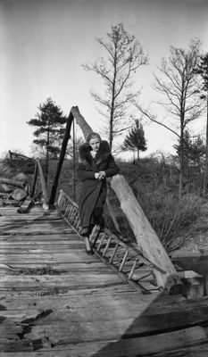 The Large Collection