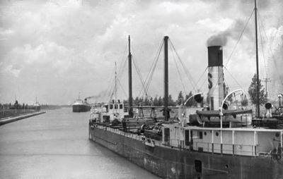 The Large Collection