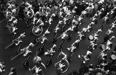 The Large Collection