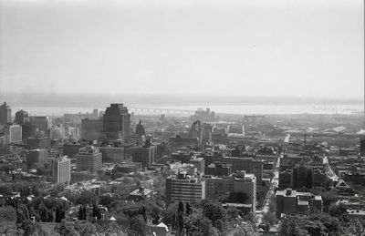 The Large Collection