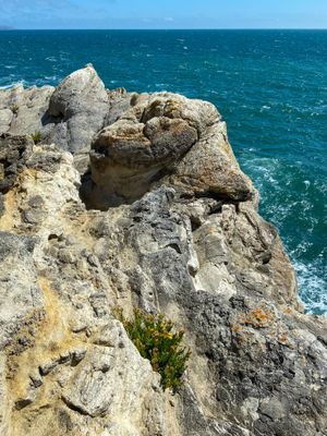The Fossil Forest - The Burrs and Bumps, these rounded stone shapes, were formed by algae; the only thing that could survive in