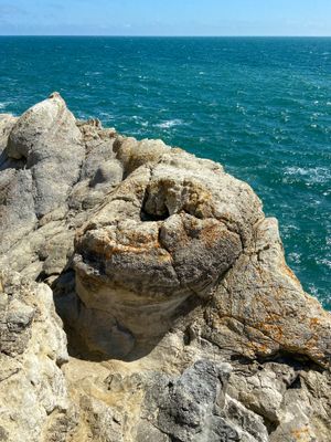 The Fossil Forest - The Burrs and Bumps, these rounded stone shapes, were formed by algae; the only thing that could survive in