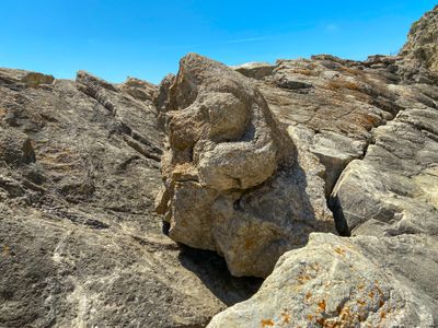 The Fossil Forest - The Burrs and Bumps, these rounded stone shapes, were formed by algae; the only thing that could survive in
