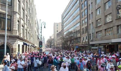 Protest against government's election reform February 25, 2023