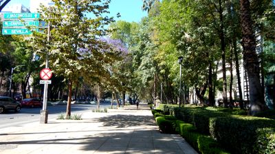 Avenido Reforma sidewalk