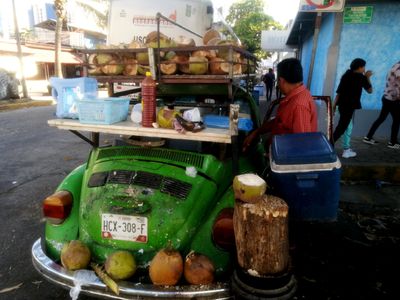 Coconut juice seller