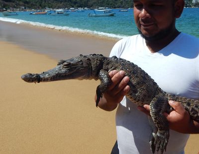 Seen on the beach
