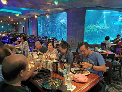 Aquarium restaurant