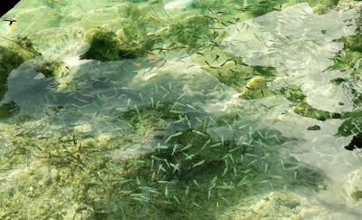 Crystal clear