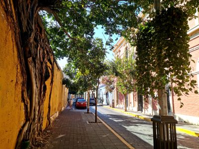 Mazatlan Centro 2