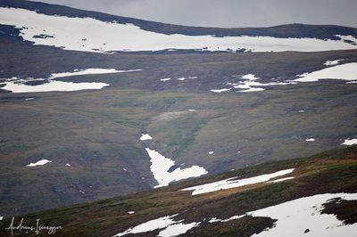 2500_AIS_8809_vis.jpg