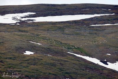 2500_AIS_8817_vis.jpg