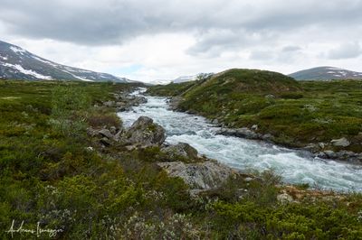 Dovrefjell NP