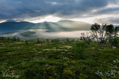 2500_DSC02894_vis.jpg
