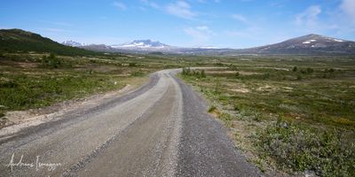 2500_AIS_9168_vis.jpg
