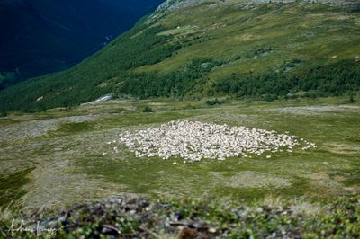 2500_DSC03028_vis.jpg