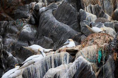 2500_AIS_0096_vis.jpg