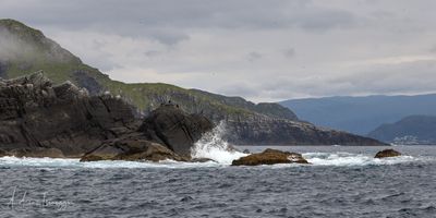 2500_AIS74119_vis.jpg
