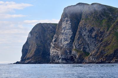 2500_AIS74059_vis.jpg