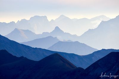 Alpenschneehuhn