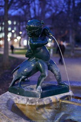 2500_1_EF_AIS21295.jpg
