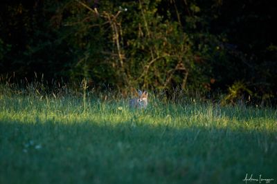 2500_668A7804.jpg